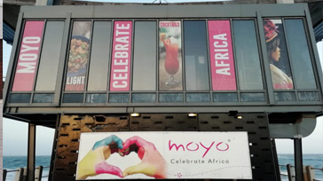 Window-Branding-Jeffreys-Bay